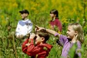 Birders - 4 kids in fall field D 17546